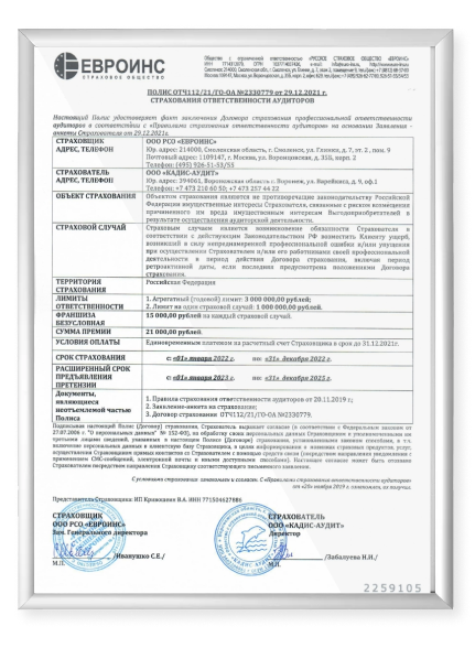 Аудит Финанс - страхование аудиторов
